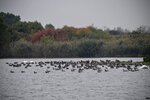 DSC_0110.JPG
