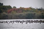 DSC_0135.JPG