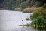 DSC_0144.JPG