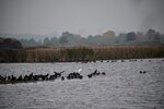DSC_0172.JPG
