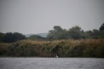 DSC_0244.JPG