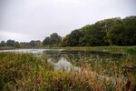 DSC_0255.JPG