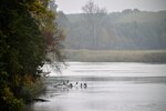DSC_0075.JPG