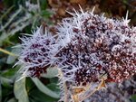 DSC04122.jpg