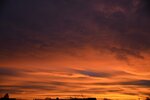 DSC_0422.JPG