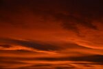 DSC_0429 (1).JPG