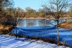 DSC_0214.JPG