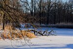DSC_0149.JPG