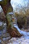 DSC_0210.JPG