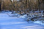 DSC_0207.JPG