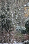 DSC_0075.JPG