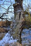 DSC_0208.JPG