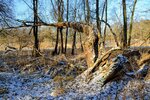 DSC_0197.JPG