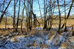DSC_0196.JPG