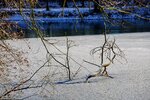 DSC_0153.JPG