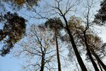 DSC_0028.JPG