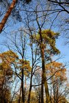 DSC_0009.JPG