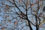 DSC_0031.JPG