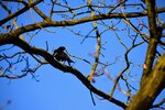 DSC_0023.JPG