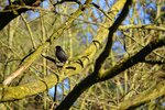 DSC_0016.JPG