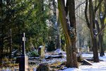 DSC_0119.JPG