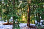 DSC_0060.JPG