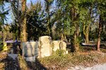 DSC_0061.JPG