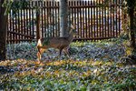 DSC_0374.JPG