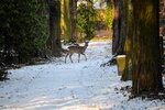 DSC_0465.JPG
