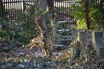 DSC_0380.JPG