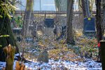 DSC_0335.JPG
