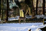 DSC_0063.JPG