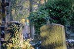DSC_0180.JPG
