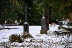 DSC_0095.JPG