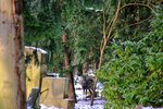 DSC_0070.JPG