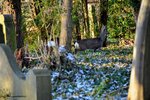 DSC_0391.JPG