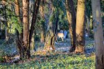 DSC_0426.JPG