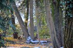 DSC_0274.JPG