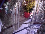 DSC04197.jpg