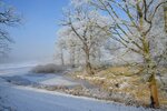 DSC_0114.JPG
