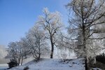 DSC_0111.JPG