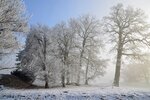 DSC_0110.JPG