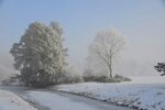 DSC_0097.JPG