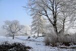 DSC_0094.JPG