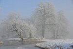 DSC_0101.JPG
