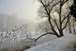 DSC_0073.JPG