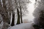 DSC_0054.JPG
