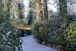 DSC_0025-001.JPG