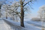 DSC_0116.JPG