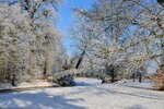 DSC_0022-001.JPG